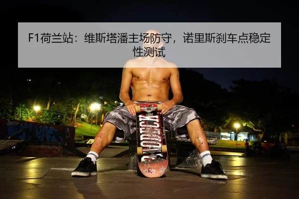 he-lan-zhan-wei-si-ta-pan-zhu-chang-fang-shou-nuo-li-si-sha-che-dian-wen-ding-xing-ce-shi-2-579.jpg
